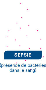 bacteraemia-sepsis