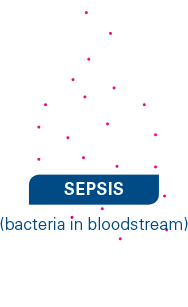 bacteraemia-sepsis